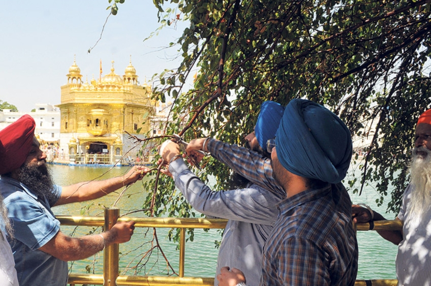 ਦਰਬਾਰ ਸਾਹਿਬ ਵਿੱਚ ਪੰਜ ਸੌ ਸਾਲ ਪੁਰਾਣੀ ਬੇਰੀਆਂ ਨੂੰ ਅਜੇ ਵੀ ਲੱਗ ਰਹੇ ਨੇ ਬੇਰ