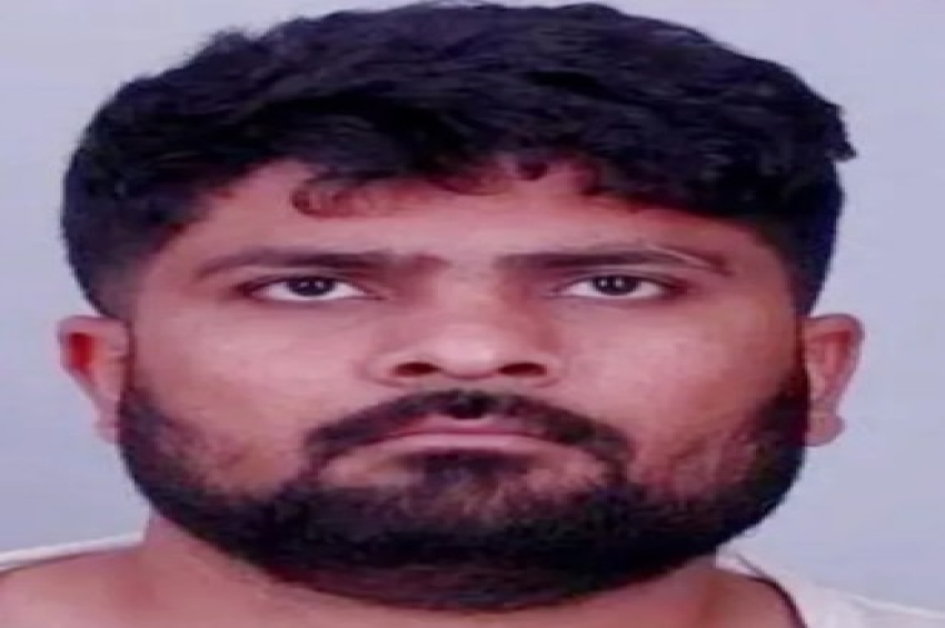 ਕੈਨੇਡਾ: ਮਨੁੱਖੀ ਤਸਕਰੀ ਦੇ ਦੋਸ਼ ਹੇਠ ਹਰਸ਼ ਪਟੇਲ ਨੂੰ 10 ਸਾਲ ਦੀ ਕੈਦ